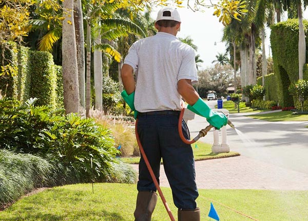 About Owensboro KY Pest Control